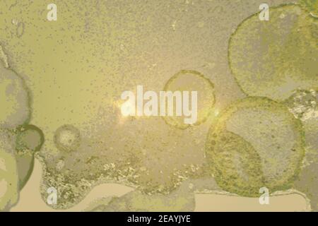 Abstract pale green marble texture with sparkles. Vector background in alcohol ink technique. Modern paint with glitter. Template for banner, poster d Stock Vector