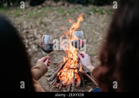 Rear back view two young women holding and tasting a glass of red wine. Warming next to fire. Stock Photo