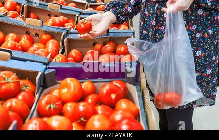 A woman chooses tomatoes in a supermarket. Selective focus. Food. Stock Photo