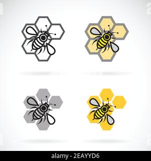 Vector of bee and honeycomb design on white background. Insect. Animals. Bee Icons. Easy editable layered vector illustration. Stock Vector