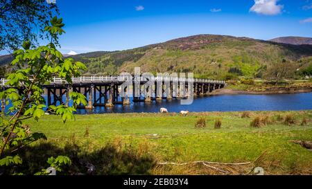 The old wooden toll bridge at Penmaenpool near Barmouth in Snowdonia spans the Mawddach estuary Stock Photo