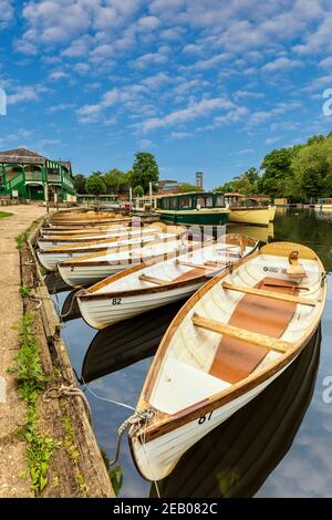 Rowing boats moored on the River Avon with the RSC Theatre in the background, Stratford Upon Avon, England Stock Photo