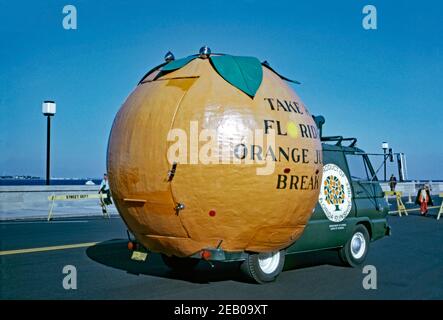 A van with a giant orange attached to its rear promoting Florida orange juice, St Petersburg, Florida, USA 1973. The colourful fruit has advertising saying ‘Take a Florida orange juice break’ and a logo stating that the promotion is a ‘product of the Florida sunshine tree’. The vehicle is wider than usual, requiring the rear-view mirrors to be extended outwards. Stock Photo