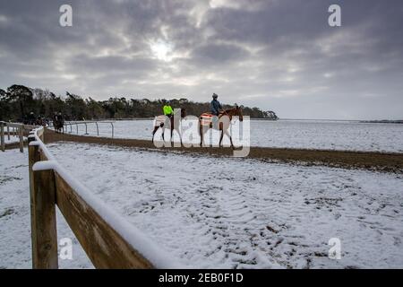 Picture dated February 9th shows jockeys and race horses out training on the all weather track in Newmarket,Suffolk,on Tuesday morning in freezing temperatures and surrounding snow.More snow and rain is forecast for the next 48 hours as Storm Darcy continues o bring bad weather to parts of the country. Stock Photo