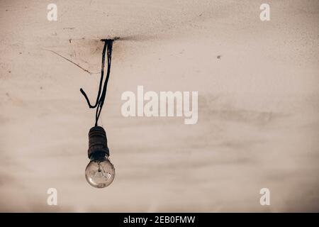 The single light bulb hanging from the ceiling, covered with small flies Stock Photo