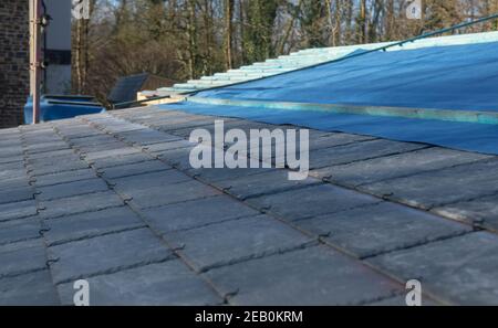 Replacing the Slate Tiles on a Low Pitch Roof on a Building in Rural Devon, England, UK Stock Photo