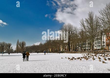 Heidelberg, Germany - February 2021: Lower Neckar river bank called 'Neckarwiese' with big meadow covered in snow, swan gooses and people taking walks Stock Photo