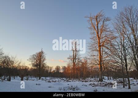 Historic Knole House and park, a Tudor landmark in Sevenoaks, Kent, in February 2021 during a 'beast from the east' on a crisp freezing day with snow Stock Photo