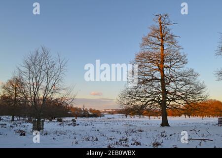 Historic Knole House and park, a Tudor landmark in Sevenoaks, Kent, in February 2021 during a 'beast from the east' on a crisp freezing day with snow Stock Photo