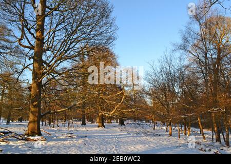 Historic Knole House and park, a Tudor landmark in Sevenoaks, Kent, in February 2021 during a 'beast from the east' on a crisp freezing day with snow Stock Photo