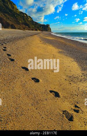 Footprint on the shingle beach at Branscombe, Devon on the Jurassic Coast Stock Photo