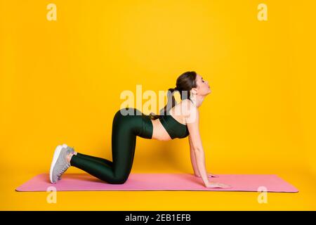 Full body size profile side view of nice thin sportive bendy flexible girl instructor doing yoga class isolated on bright yellow color background Stock Photo