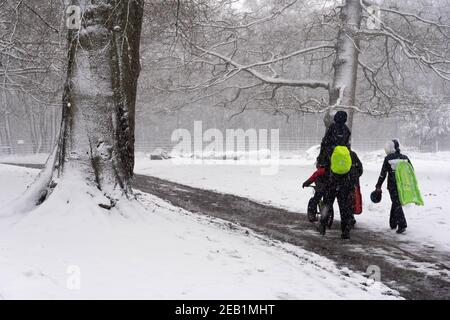 Kent, England, 7th February 2021 A family carried sledge in public park at Storm Darcy heavy snow to south east England Stock Photo