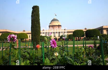 New Delhi, India. 11th Feb, 2021. Flowers are seen in full bloom at Mughal Gardens in New Delhi, India, on Feb. 11, 2021. Mughal Gardens will reopen to the public from Feb. 13. Credit: Partha Sarkar/Xinhua/Alamy Live News Stock Photo