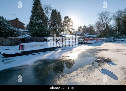 Linlithgow Union canal basin frozen over, Manse road, Linlithgow. Stock Photo