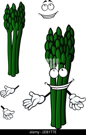 Asparagus vegetable cartoon character showing smiling bunch of green fresh stems isolated on white background for vegetarian menu or recipe book desig Stock Vector