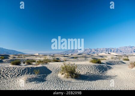 The Mesquite Flats Sand Dunes at the north end of Death Valley National Park, California. Stock Photo