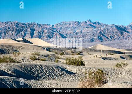 The Mesquite Flats Sand Dunes at the north end of Death Valley National Park, California. Stock Photo