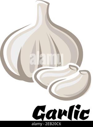 Ripe dried bulb of spicy white garlic vegetable with cloves in cartoon style isolated on white background with caption Garlic Stock Vector