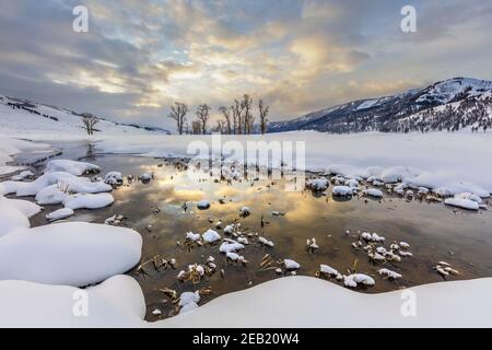 Yellowstone National Park, Wyoming: Sunrise clouds reflected in the Lamar River in the Lamar Valley with distant cottonwood trees Stock Photo