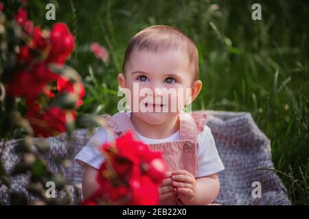 A little baby sits on a green lawn next to red roses. A happy girl in a powdery overalls enjoys a walk in the park, claps her hands, the sun is shinin Stock Photo