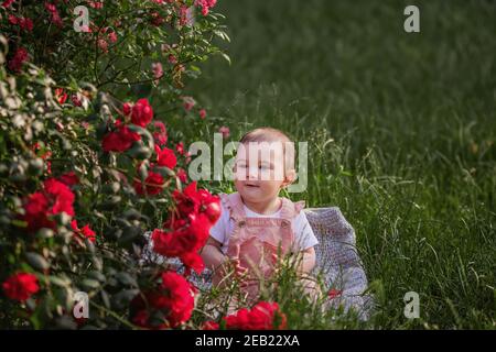 A little baby sits on a green lawn next to red roses. A happy girl in a powdery overalls enjoys a walk in the park, claps her hands, the sun is shinin Stock Photo