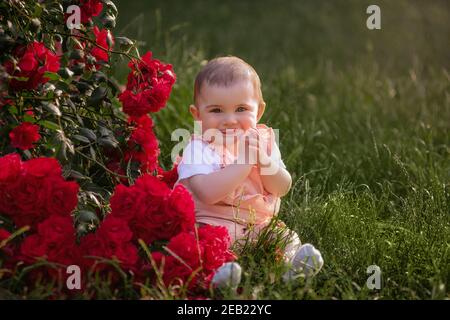 A little baby sits on a green lawn next to red roses. A happy girl in a powdery overalls enjoys a walk in the park, claps her hands, the sun is shinin Stock Photo