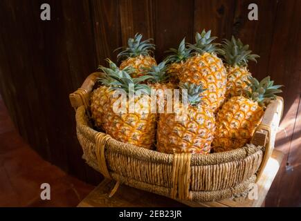 Basket with pineapples, plantation, Sao Miguel, Azores islands, unique culture grown in greenhouses. Stock Photo