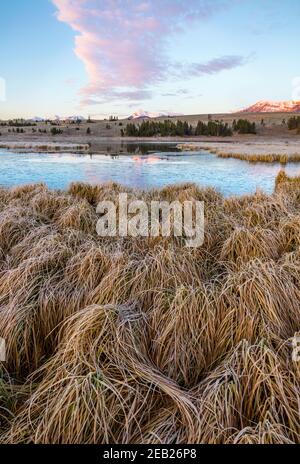 Sunrise at Yellowstone Lake, Yellowstone National Park, USA Stock Photo ...