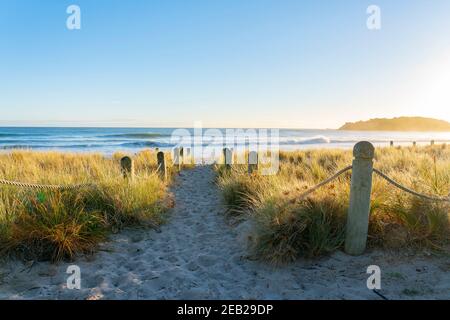 Track between bollards and grassy dunes leading to beach at Mount maunganui Mainbeach New Zealand. Stock Photo