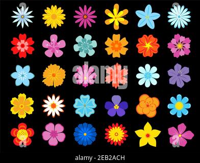 Colorful blooming flowers icons with daisies, gerberas, violets, cornflowers, asters and marigolds on black background Stock Vector