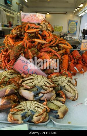 Spider Crabs,Edible Crabs on sale in the Beresford Street Fish Market,Jersey Stock Photo