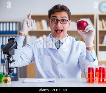 The scientist working on organic fruits and vegetables Stock Photo