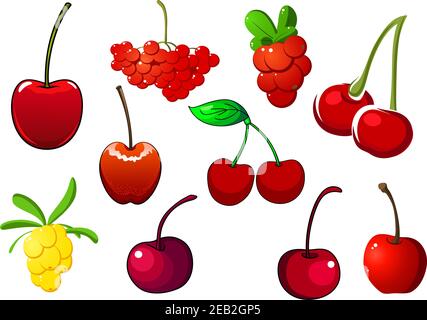 Colored fresh berry icons with cherries, rowan and red and white currants, isolated on white Stock Vector