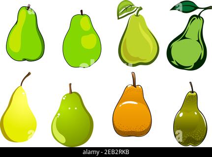 Juicy sweet yellow, green and orange pear fruits with fresh leaves isolated on white background, Stock Vector