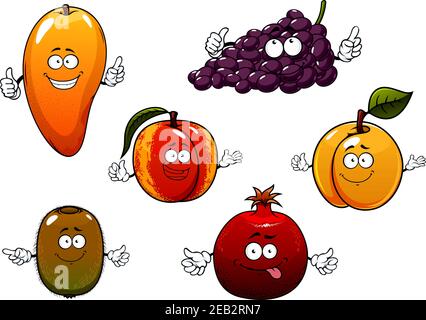 Cartoon ripe purple grape, tropical mango and kiwi, peach, apricot and pomegranate fruits. For dessert or agriculture themes Stock Vector