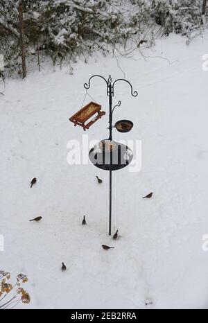 Bird feeders and the pole on the ground covered with snow after a winter storm Stock Photo