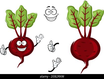 Happy little cartoon beetroot with fresh green leaves and waving arms, isolated on white Stock Vector