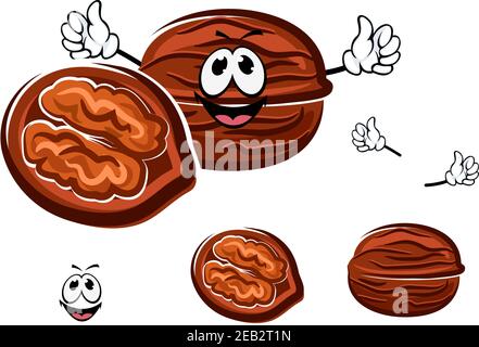 Happy brown cartoon walnut in a whole and halved form with the shell opened to reveal the nut with, isolated on white Stock Vector