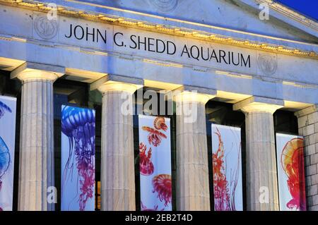 Chicago, Illinois, USA. A close up, illuminated night view of the columns and banners that sit about its main entrance of the John G. Shedd Aquarium. Stock Photo