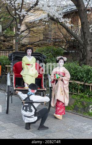 Kyoto Japan Two women dressed as Geisha and a rickshaw driver pose for photographs on Shirakawa-minami dori in the Gion district underneath the cherry