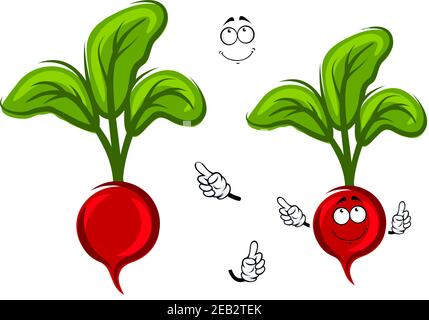 Happy smiling cartoon radish with green leaves, isolated on white. For vegetarian food theme Stock Vector