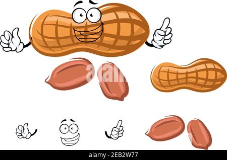 Joyful fresh peanut cartoon character with dry shell and peeled kernels, isolated on white background Stock Vector