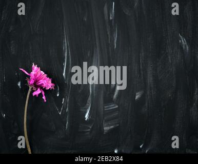 Dry pink purple flower on black and white abstract painting background. Acrylic grunge color painted on canvas. Handmade, hand drawn. Stock Photo