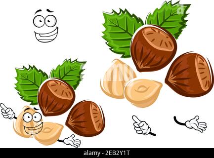 Healthful happy hazelnut cartoon character with brown nuts, shelled kernel and carved green leaves, isolated on white Stock Vector