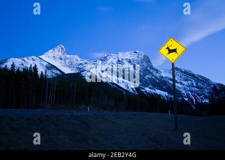 Caution deer or wildlife sign in the mountains at night in Kananaksis, Alberta, Canada Stock Photo