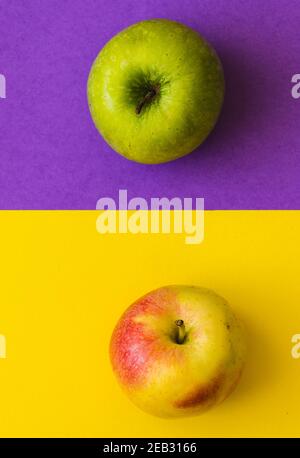 Green apple and yellow-red apple, on a half purple and half yellow background Stock Photo