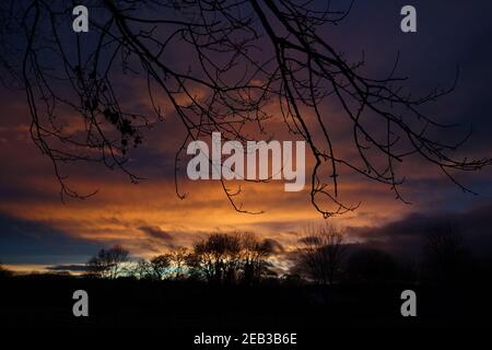 deep orange and red sunrise with silhouetted trees in the distance with a blue sky and sun lit clouds Stock Photo