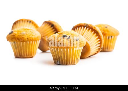 Vanilla muffins. Sweet cupcakes isolated on white background. Stock Photo