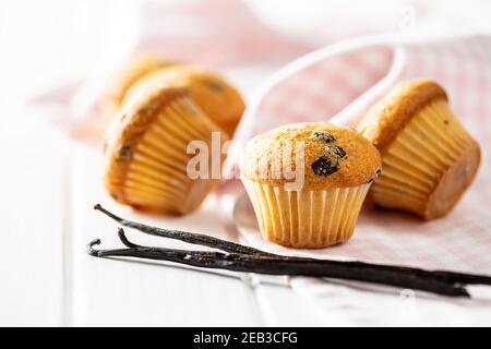 Vanilla muffins. Sweet cupcakes and vanilla pods on white table. Stock Photo